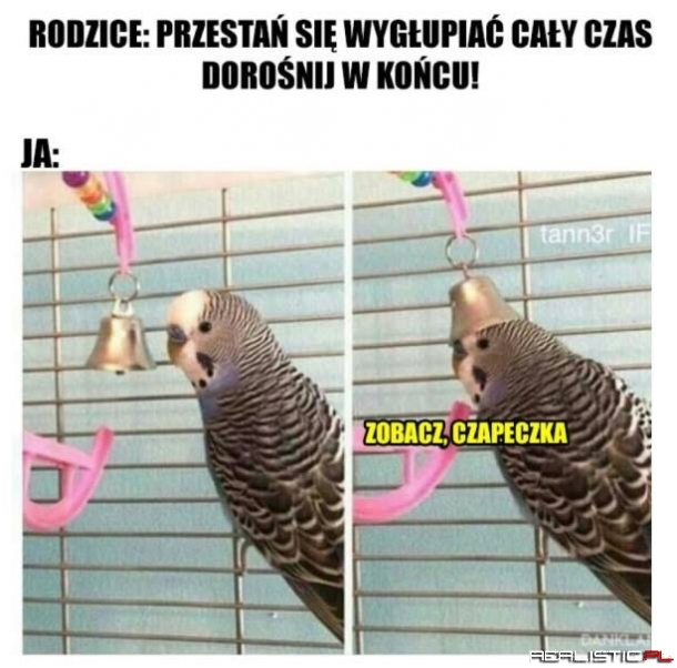 Taki jestem