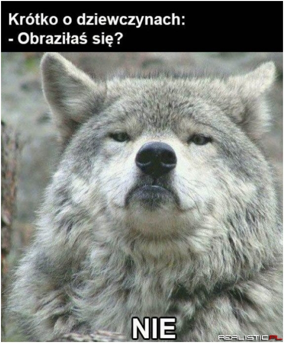 Te dziewczyny