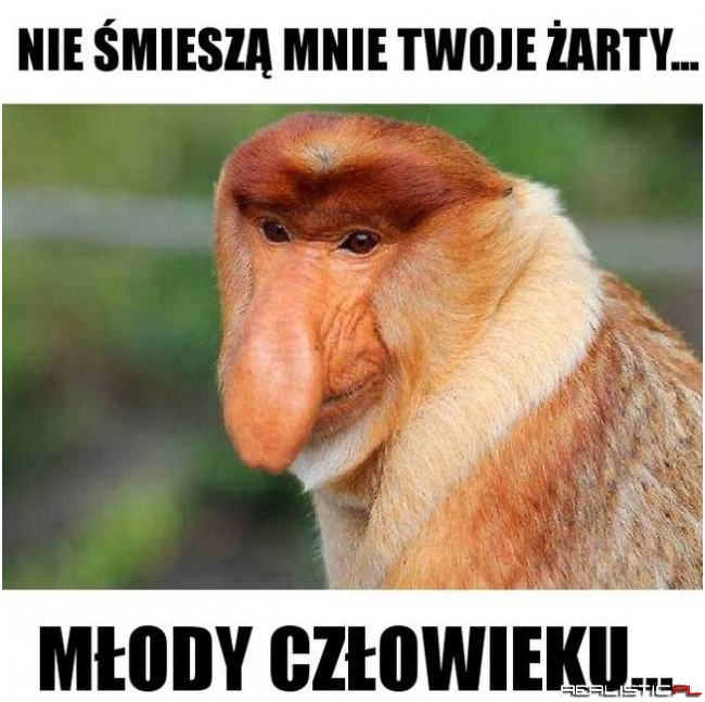 Ty i Twoje suchary xD