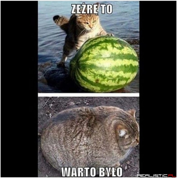 Warto było