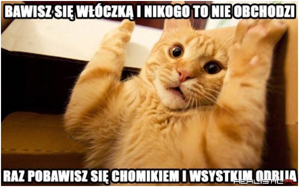 Wielkie mi halo