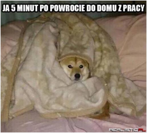 Zawsze