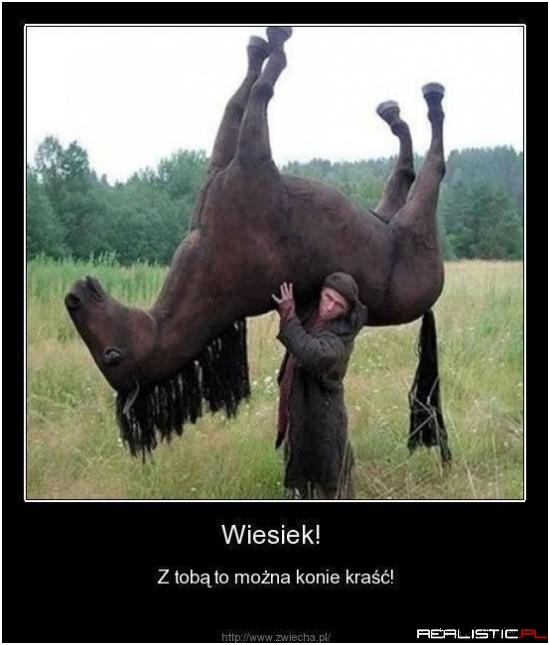 Co ten Wiesiek xD