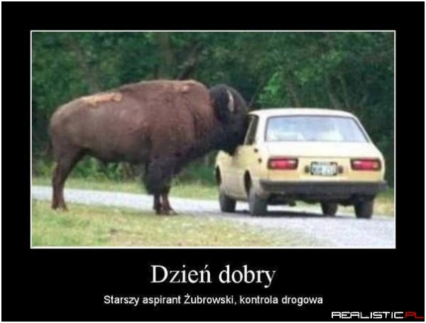 Kontrola drogowa