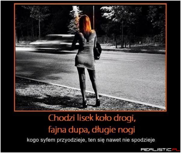 Lisek