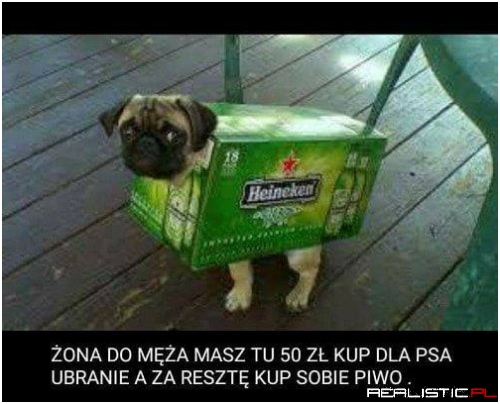 Mistrz xD