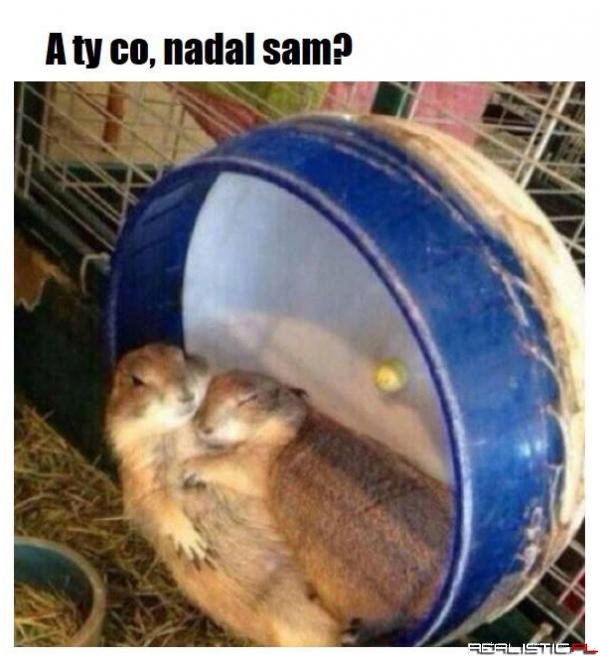 Nadal sam