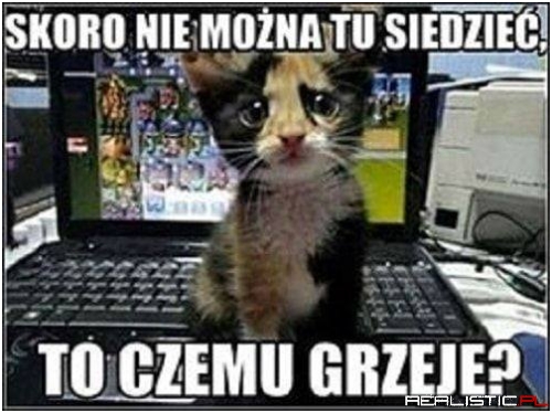 No właśnie!