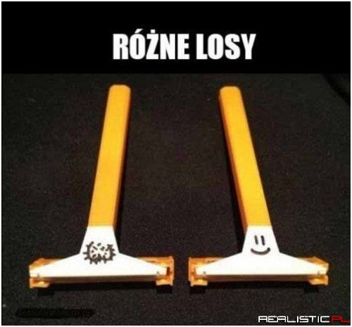 Porządek musi być