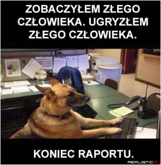 Raport