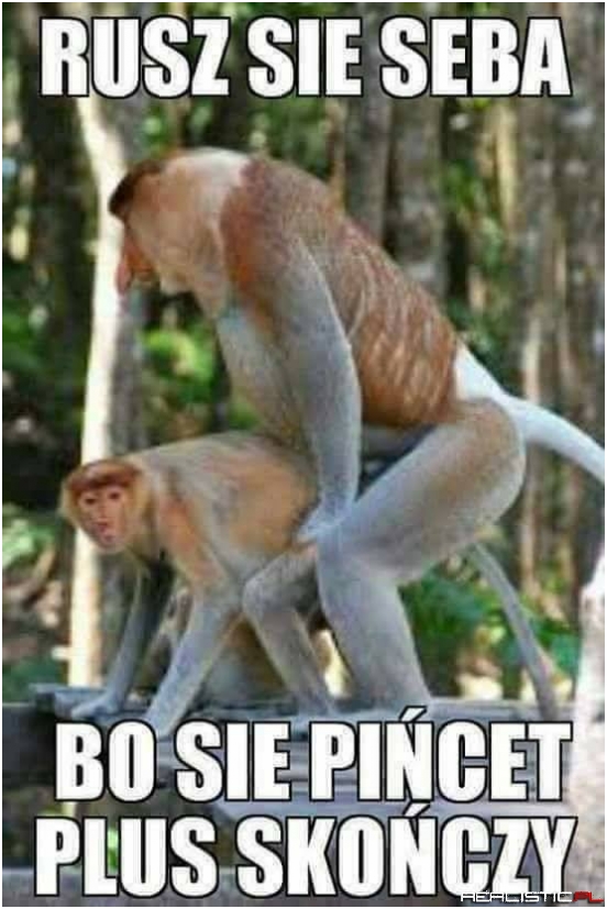 Rusz się Seba