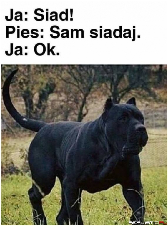 Siad piesek
