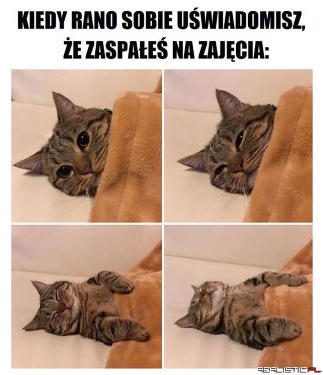 Zajęcia nie uciekną