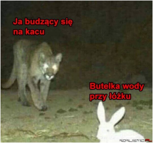 Zawsze