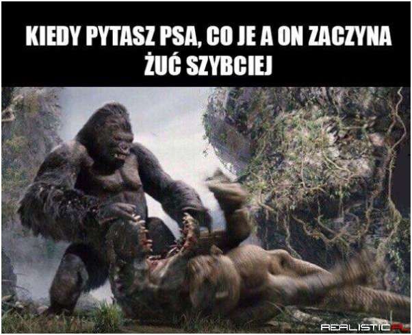 Zawsze
