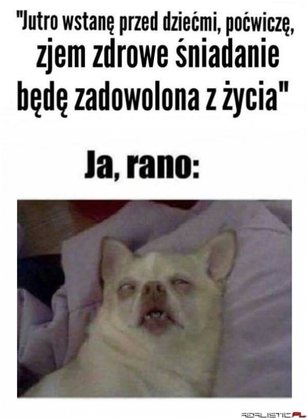 Zawsze to samo