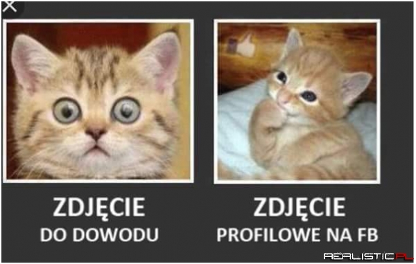 Znajdź różnicę xD
