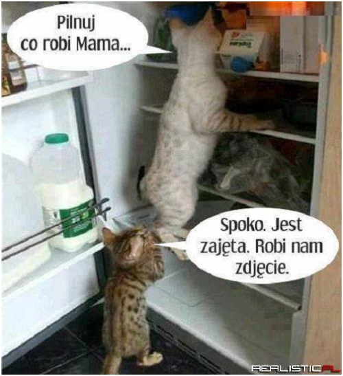 Akcja lodówka