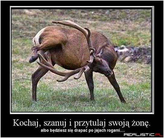 Cwaniaczek