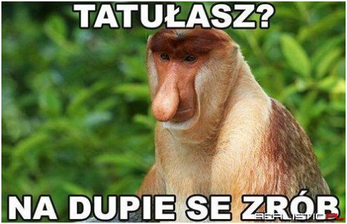 Dokładnie!