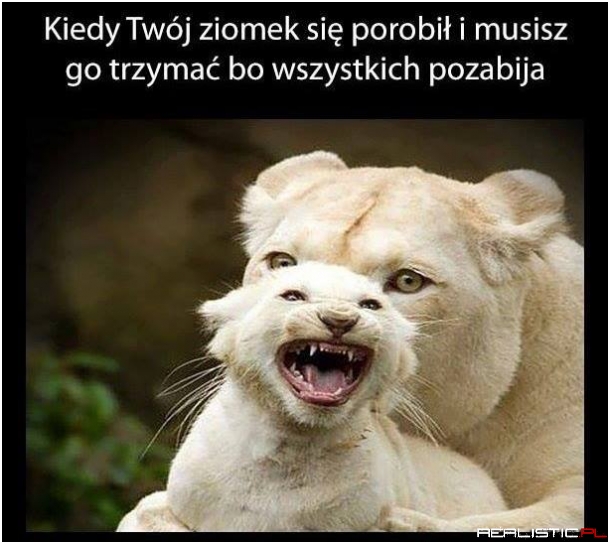 Każdy ma takiego ziomka xD