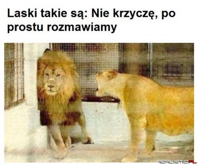 Laski takie są