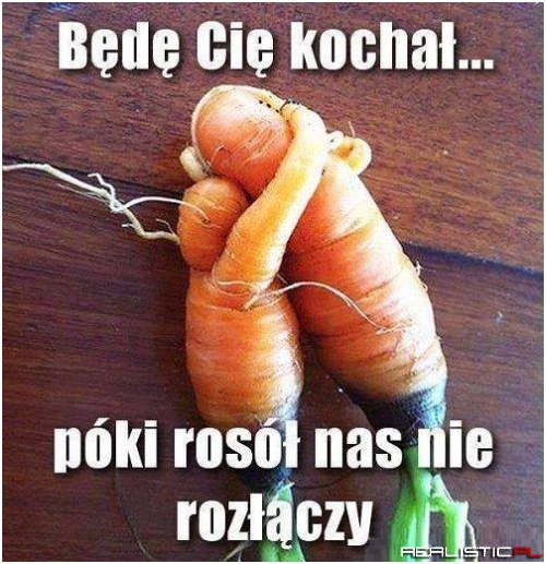 Mimo to się kochają xD