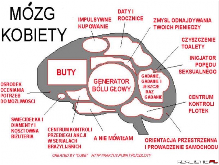 Mózg kobiety