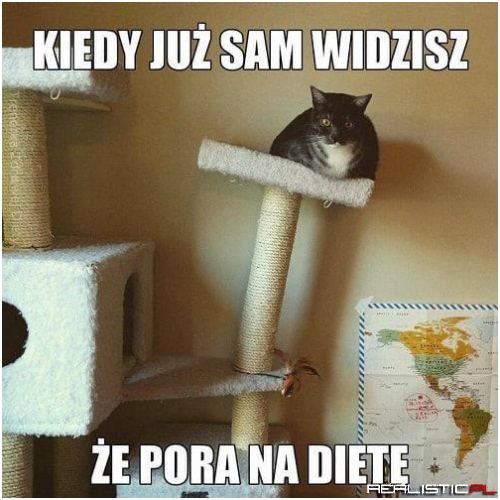 Pora na dietę