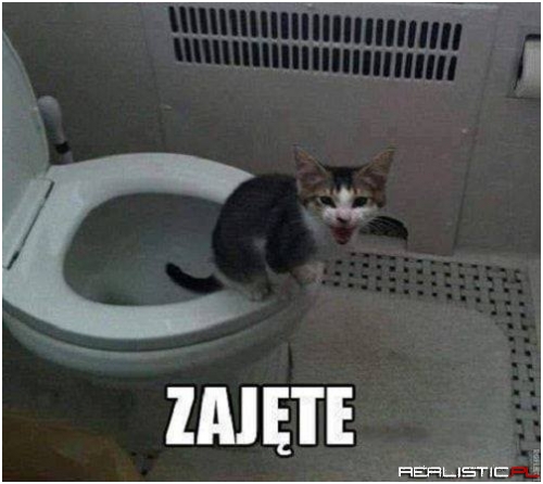 Się puka