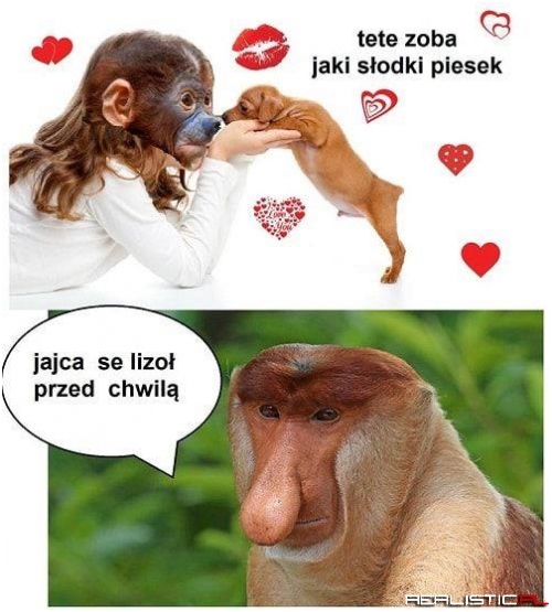 Słodki piesek