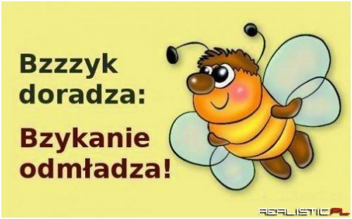 Zdecydowanie