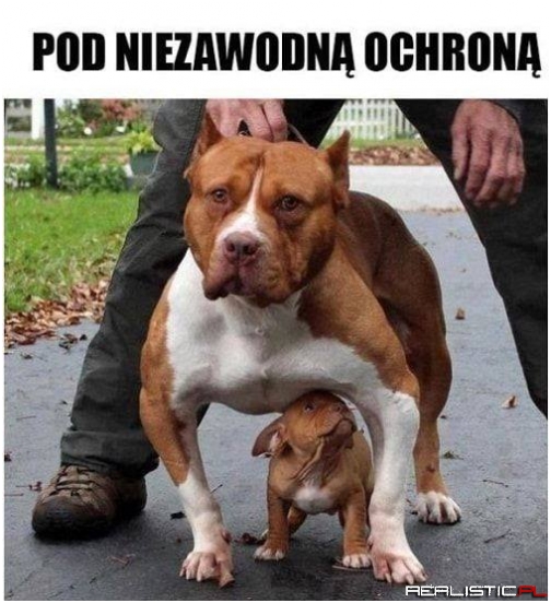 Strach się bać ;)