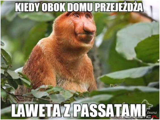 To uczucie