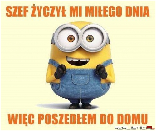Wszystko w temacie