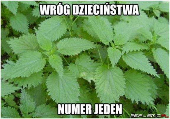 Zgadza się