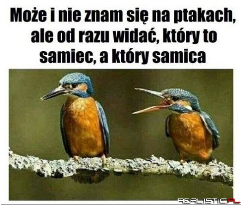 Od razu rzuca się w oczy ;)
