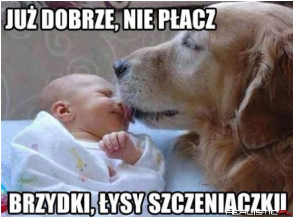 Słodziak