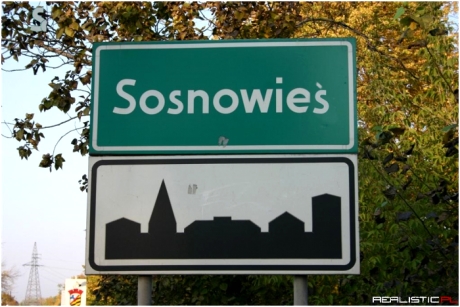 Sosnowieś