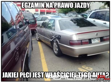 Zadanie egzaminacyjne