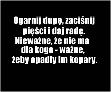 ZAJEBISTE! 6
