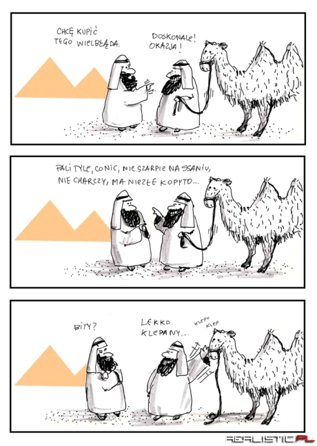 Ciapaty kupuje wielbłąda