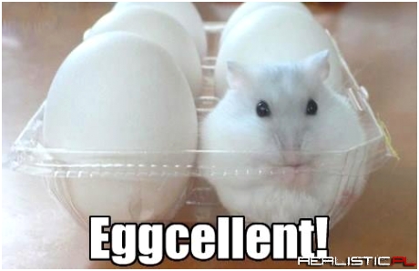 Eggcellent
