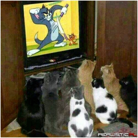 Możr się wkońcu uda