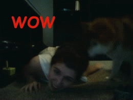 Wow Wow