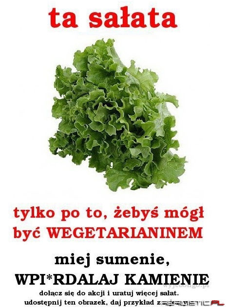 Apel do wegetarian!