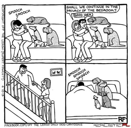 Buzi buzi kiedy masz stado psów w domu