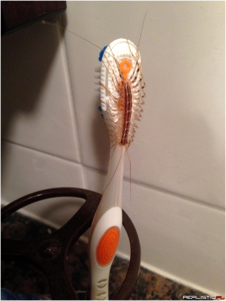 Czas na zmianę szczoteczki!