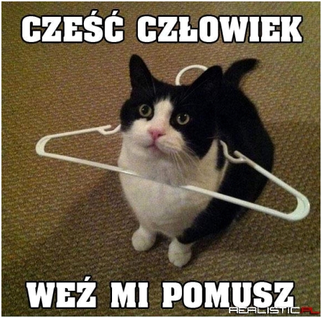 Cześć człowiek