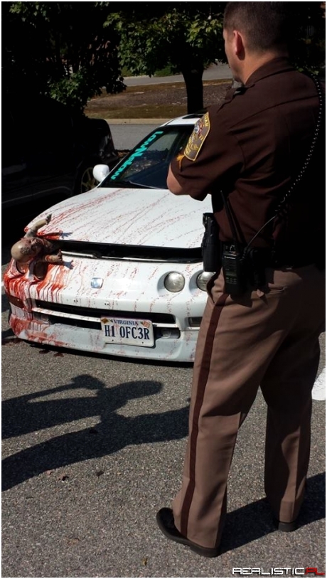 Jak zwrócić na siebie uwagę policjantów